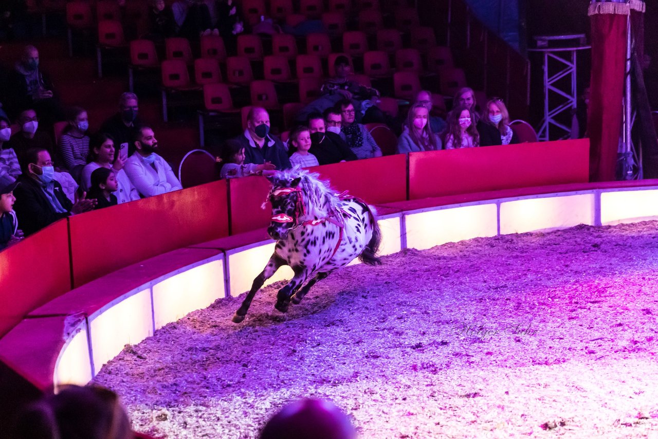 Bild 398 - Zirkus Europa